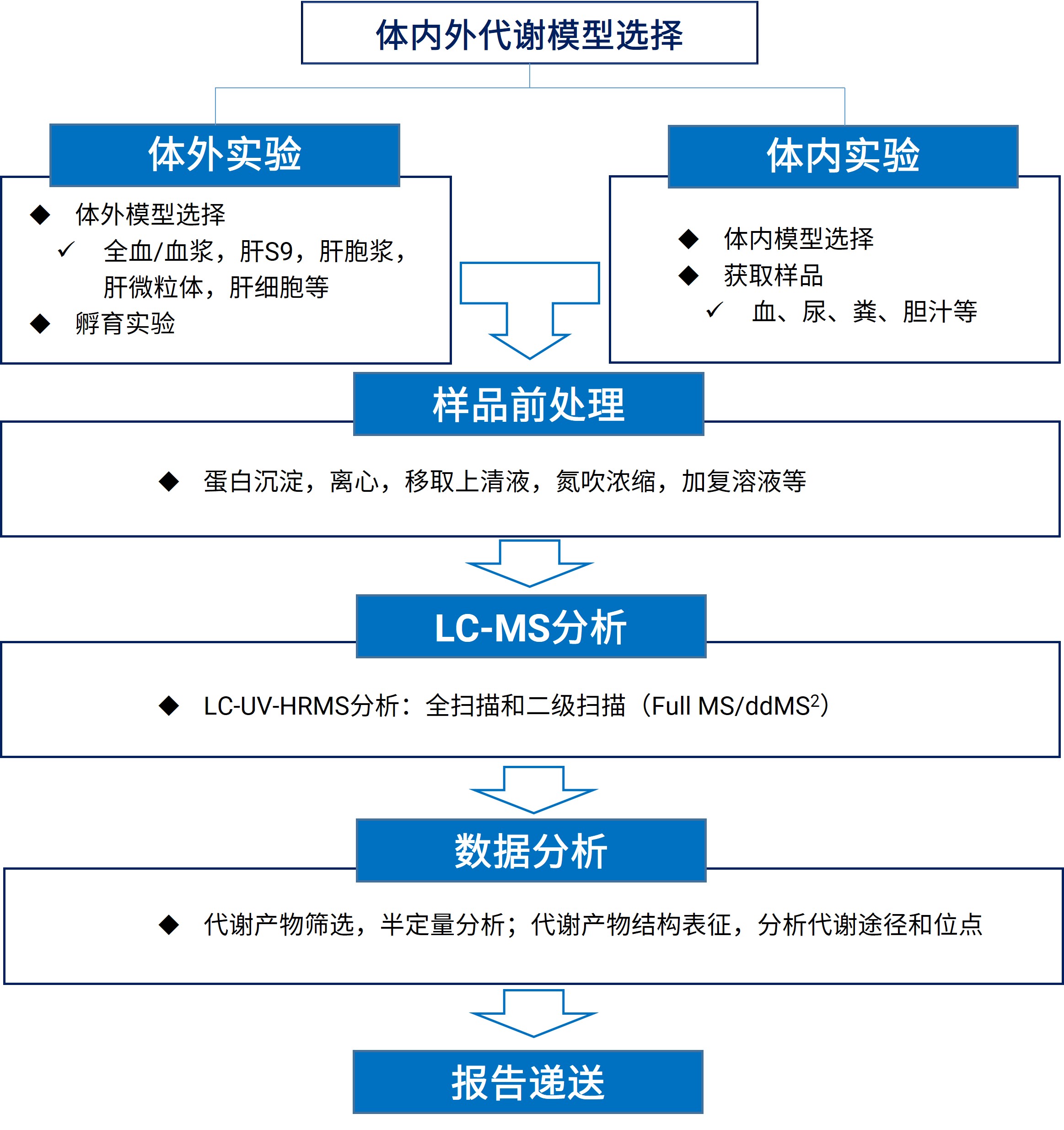 PROTAC的代谢产物鉴定研究流程