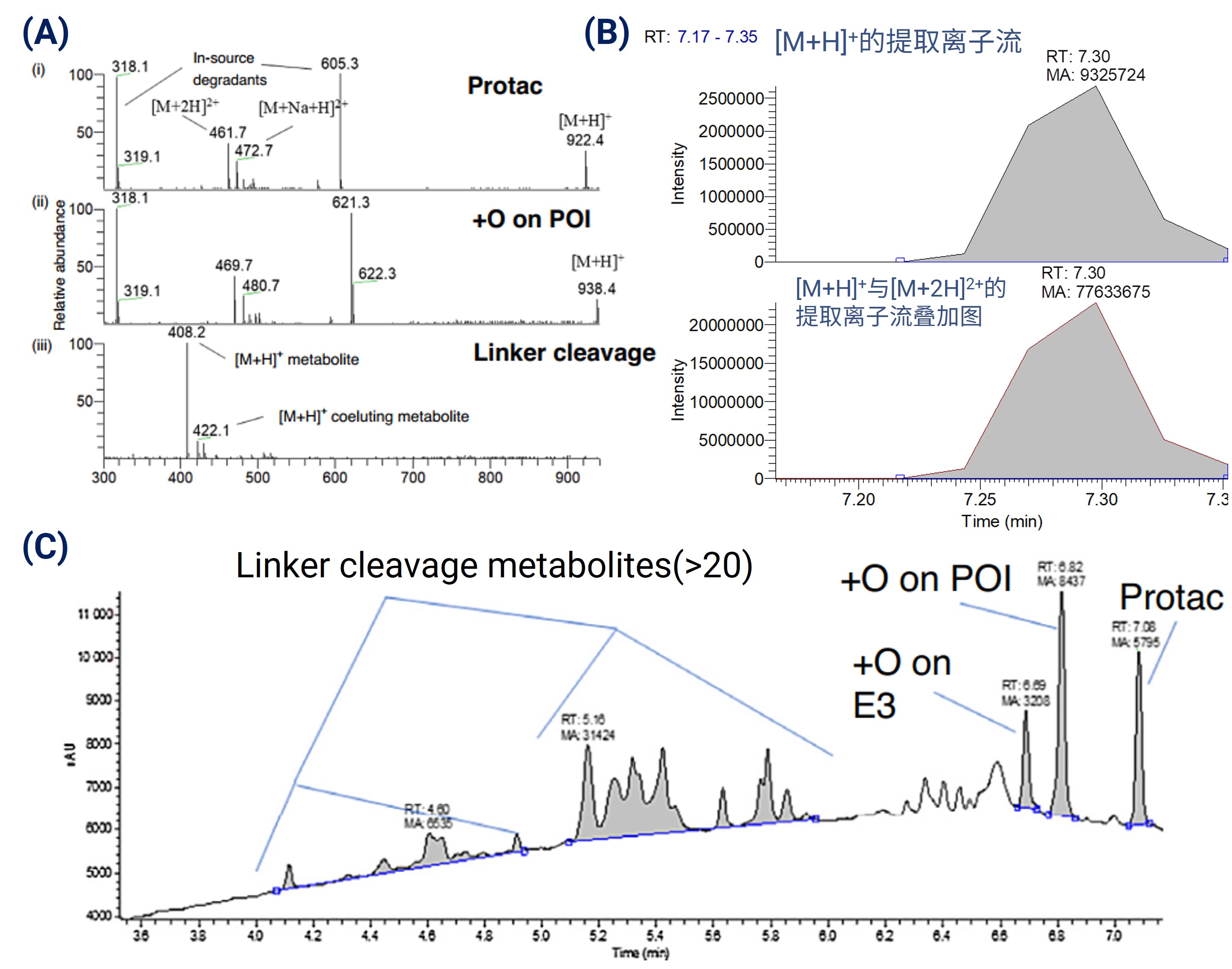 PROTAC及其代谢产物紫外与质谱的表征图