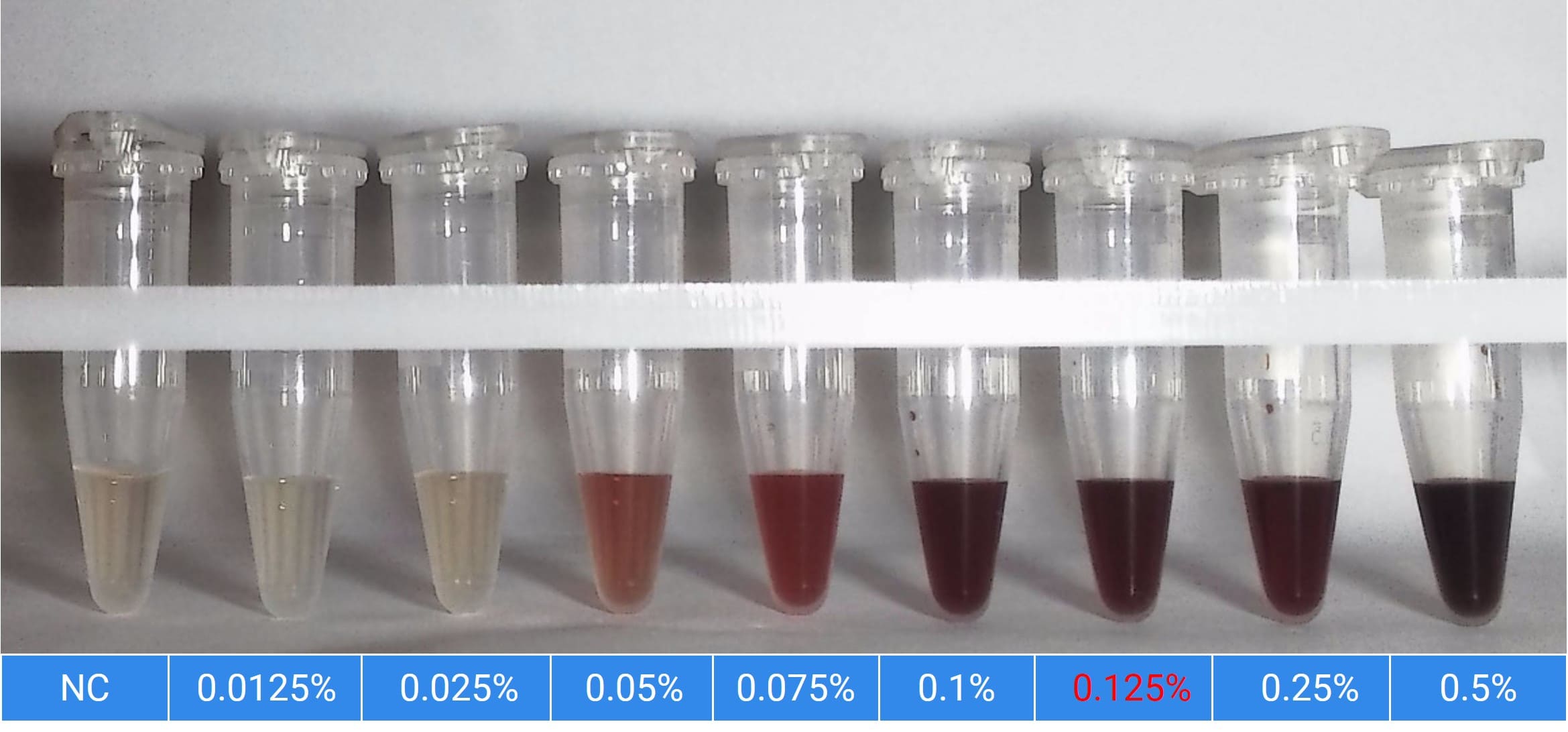 Plasma Color Comparison at Different Triton X-100 Concentrations (Male Beagle Dog) Plasma Color Comparison at Different Triton X-100 Concentrations (Male Beagle Dog)