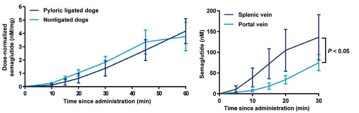 Absorption curves of oral Semaglutide in pylorus-ligated and non-ligated Beagle dogs (left) and absorption curves in the splenic and portal veins of dogs (right)