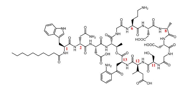 Daptomycin structure