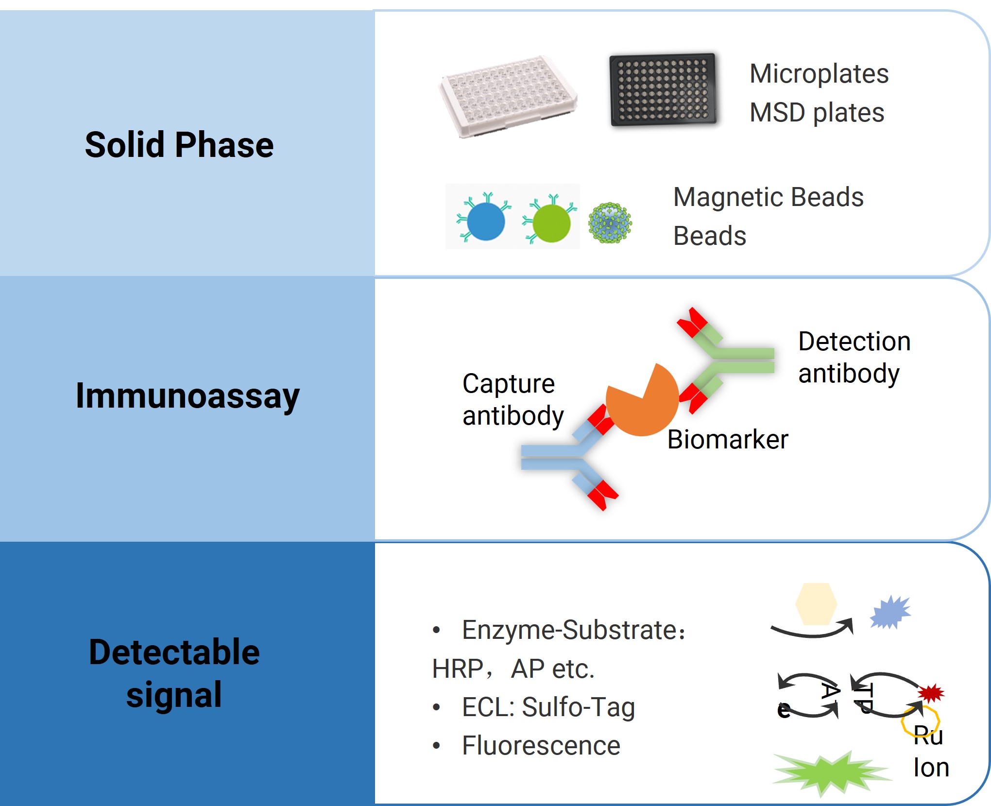 Immunoassay-based biomarker analysis platform Immunoassay-based biomarker analysis platform