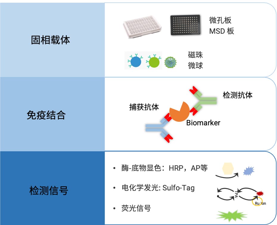 基于免疫测定的生物标志物分析平台