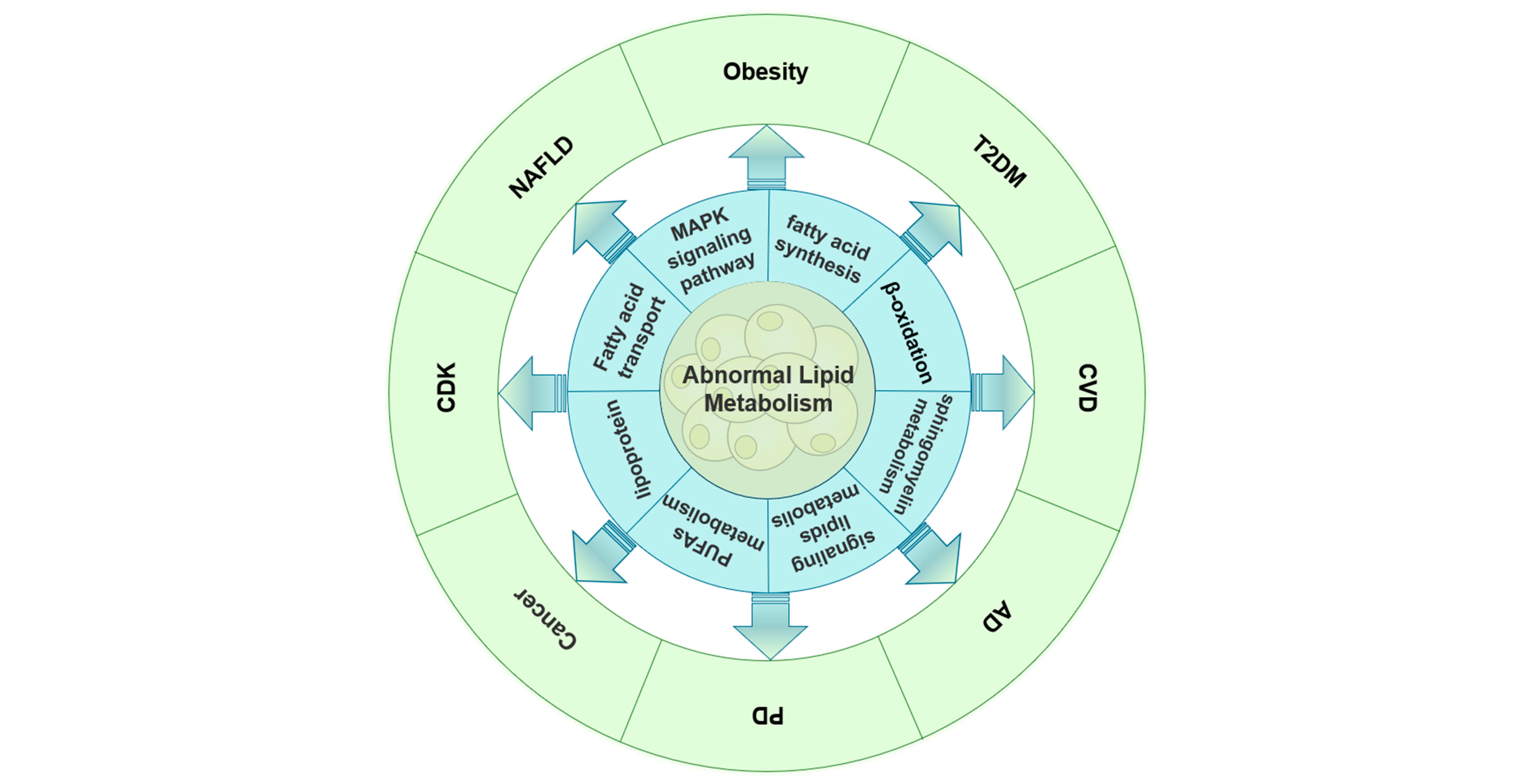 Abnormal lipid metabolism and associated diseases Abnormal lipid metabolism and associated diseases