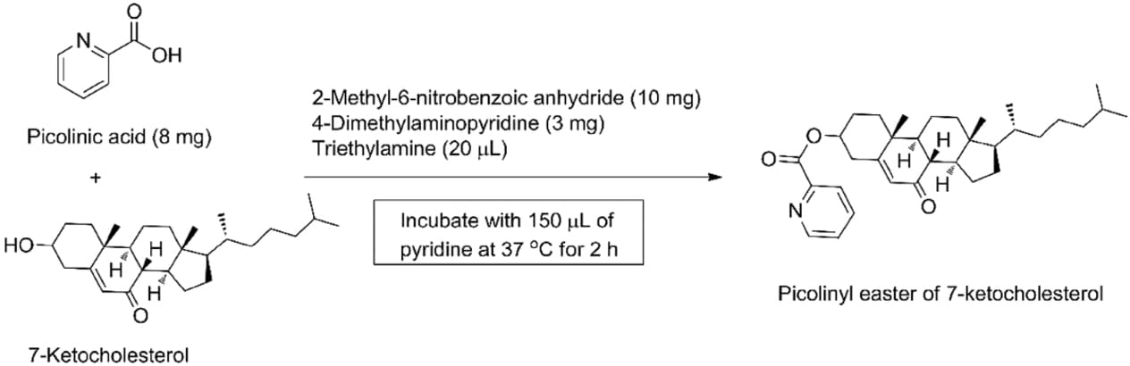 Schematic diagram of sterol compound derivatization Schematic diagram of sterol compound derivatization