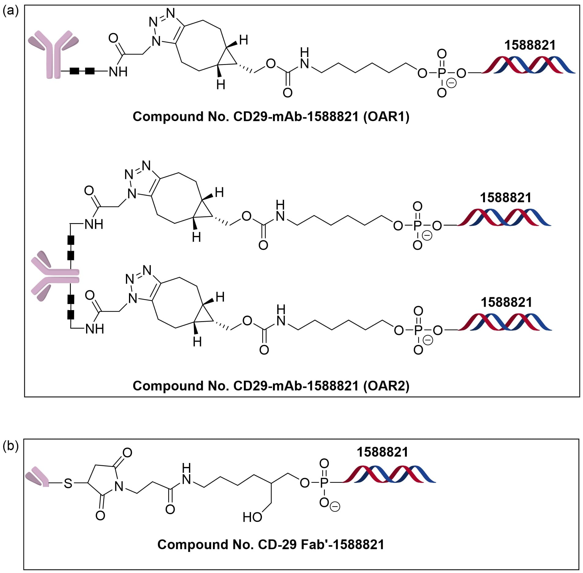 以anti-CD29的不同形式制备的AOC:全长抗体(a)和Fab(b) 以anti-CD29的不同形式制备的AOC:全长抗体(a)和Fab(b)