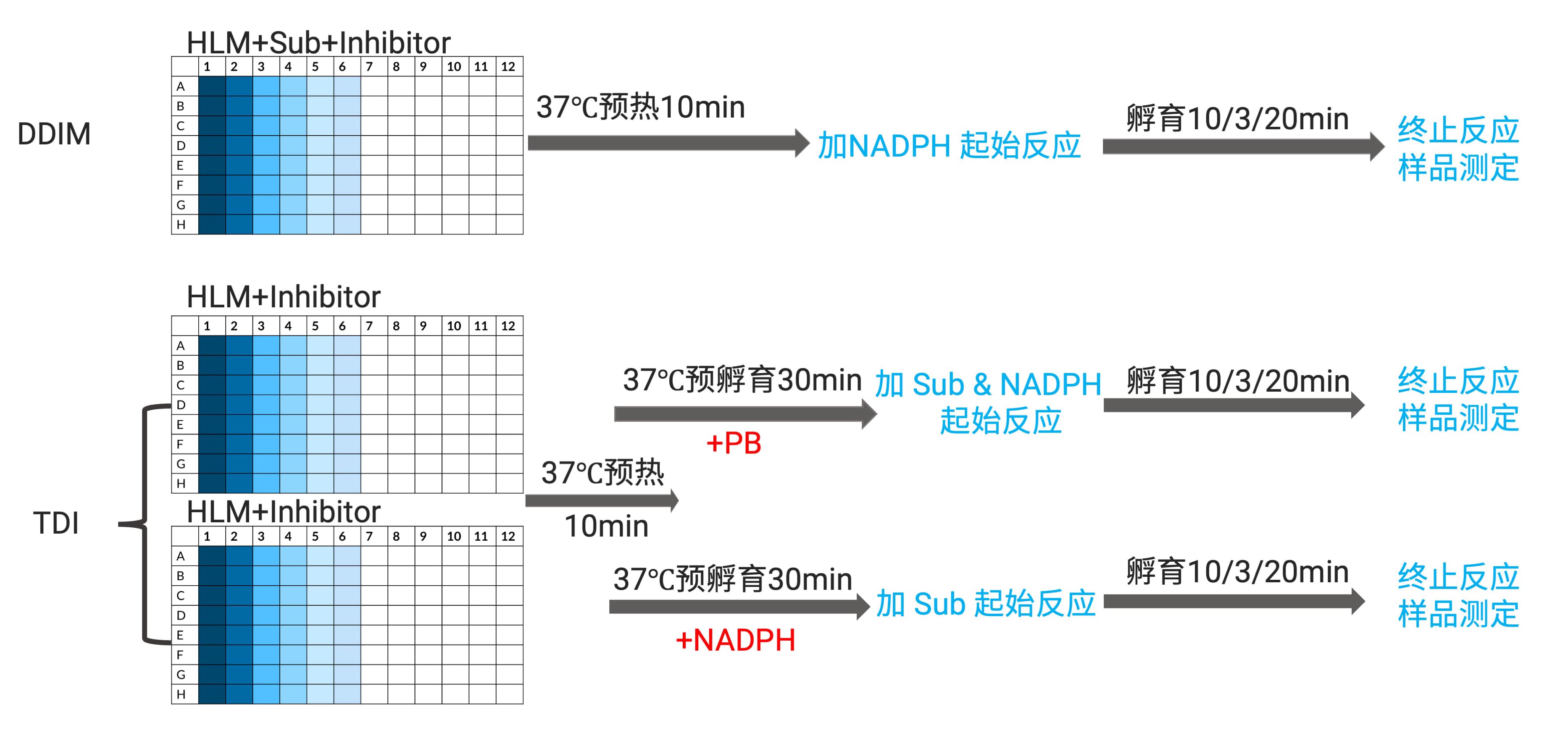 DDIM实验及TDI实验流程