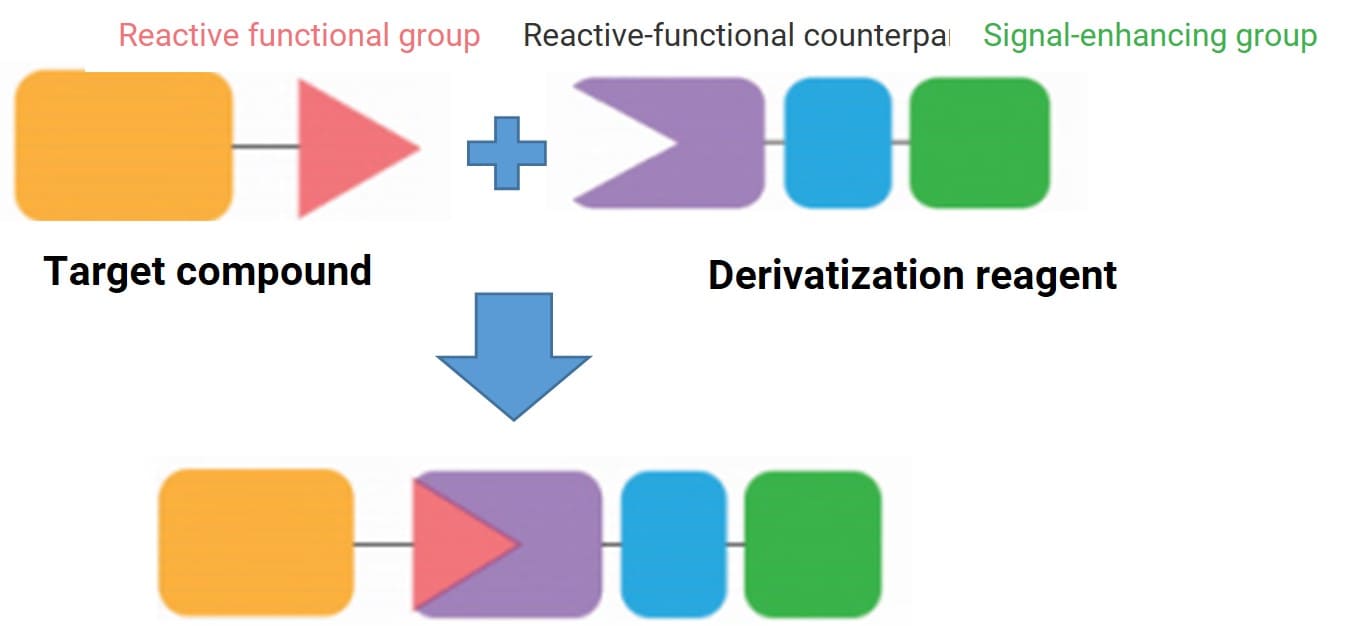 Principle of the derivatization method