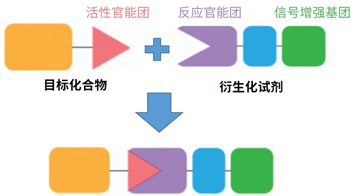 化学衍生化方法的原理 化学衍生化方法的原理
