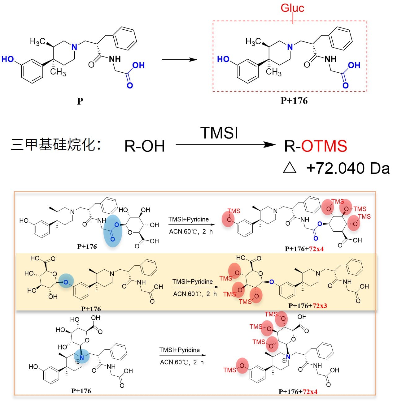 通过三甲基硅烷化反应判断葡萄糖醛酸结合位点(判断是否在酚羟基位) 通过三甲基硅烷化反应判断葡萄糖醛酸结合位点(判断是否在酚羟基位)