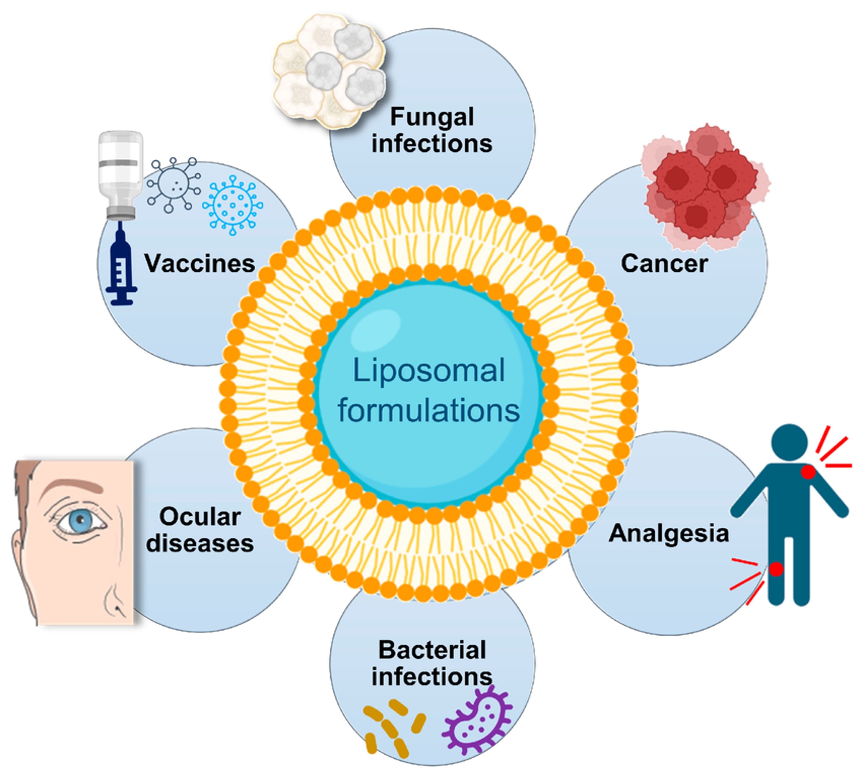 Diverse therapeutic and research applications enabled by liposome drug delivery Diverse therapeutic and research applications enabled by liposome drug delivery