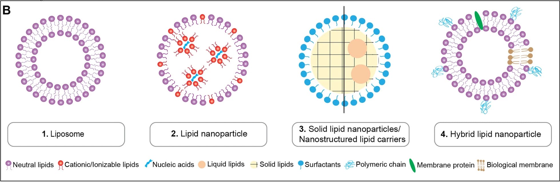 Classification of lipid-based nanocarrier systems Classification of lipid-based nanocarrier systems