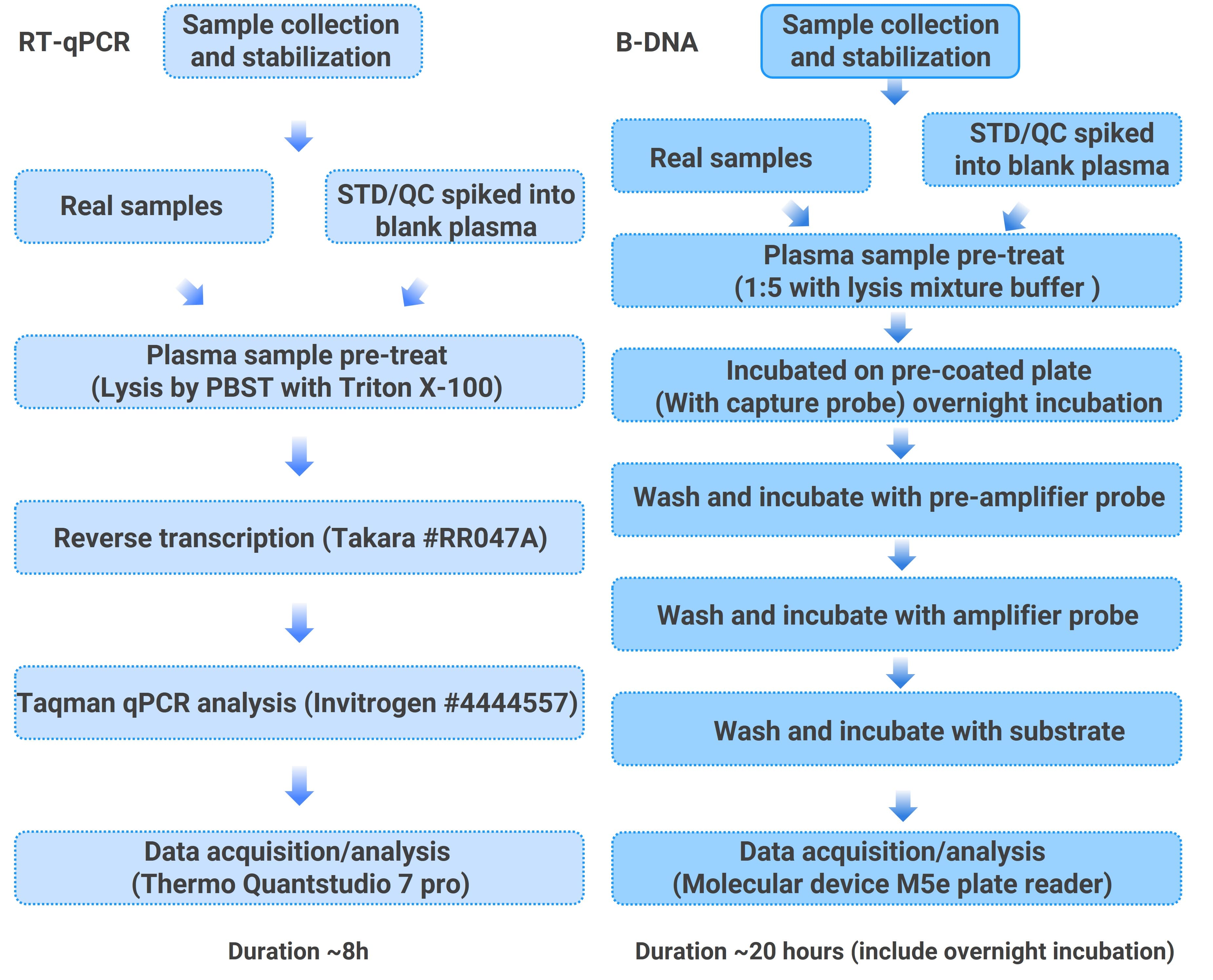 RT-qPCR方法和bDNA方法对血浆中的LNP-mRNA（EGFP mRNA）进行定量分析实验流程图