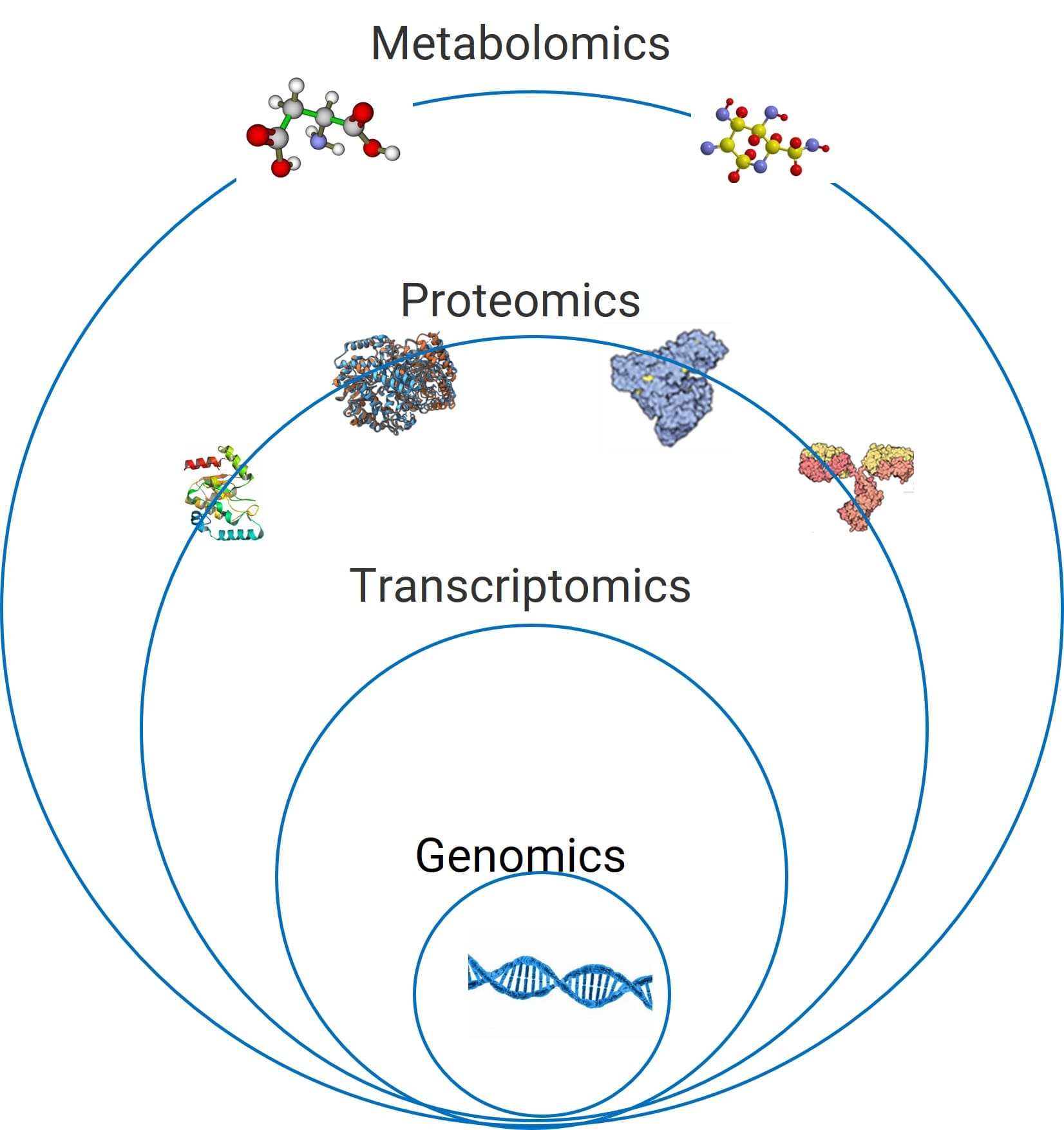 Interrelationships among omics in biological research Interrelationships among omics in biological research