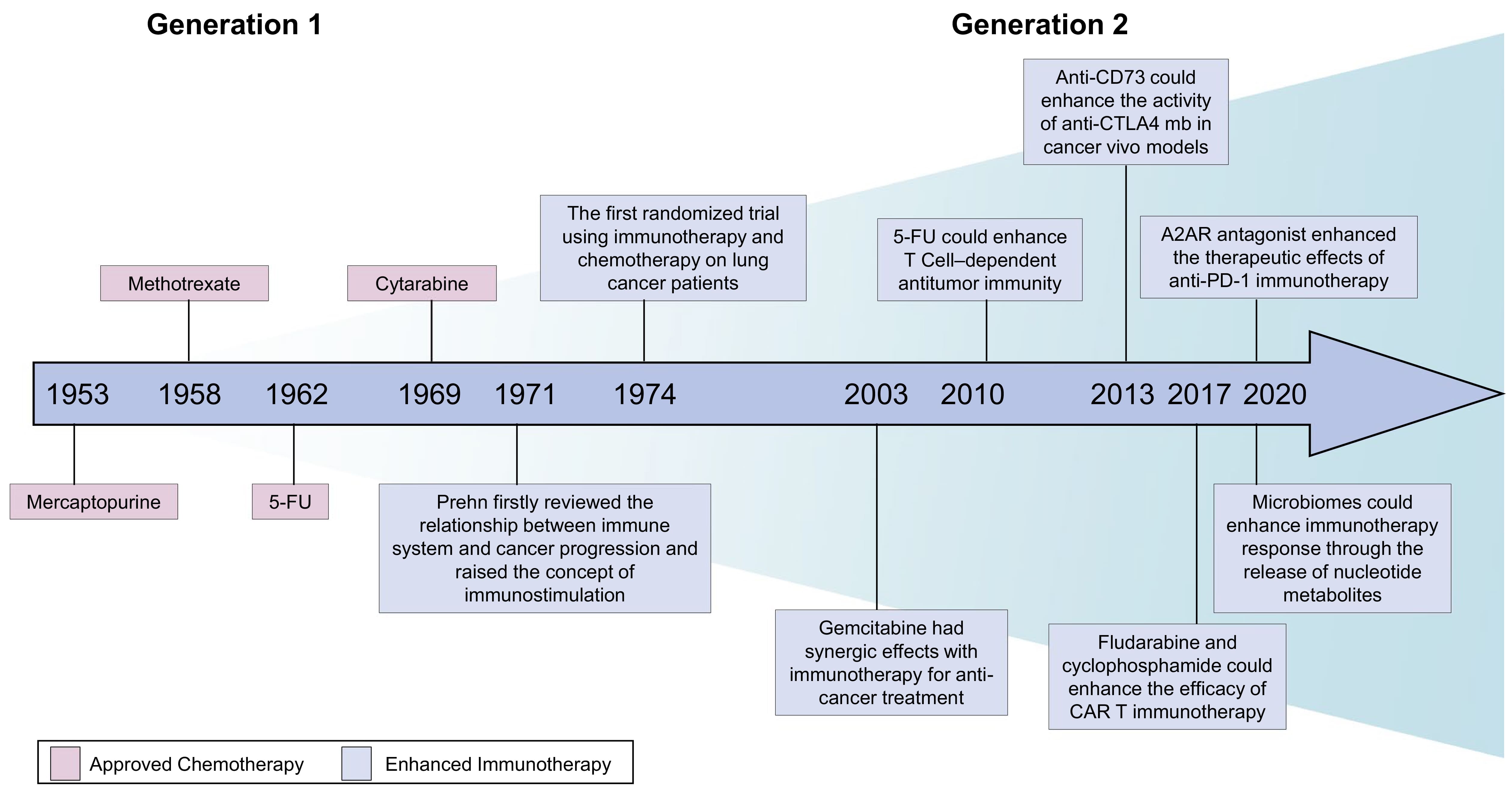 Historical development and breakthroughs in targeting nucleotide metabolism for cancer therapy Historical development and breakthroughs in targeting nucleotide metabolism for cancer therapy