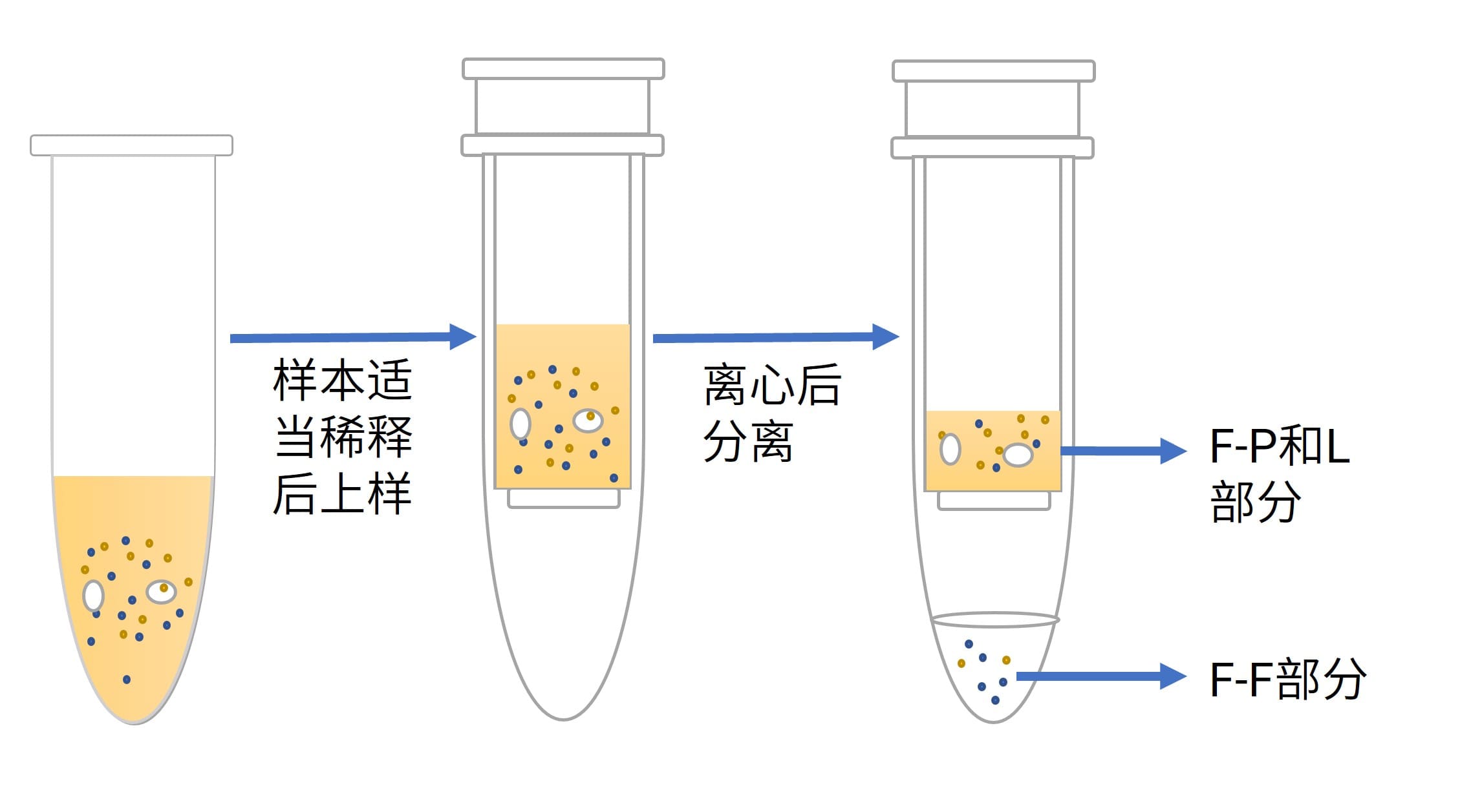 超滤法的一般流程