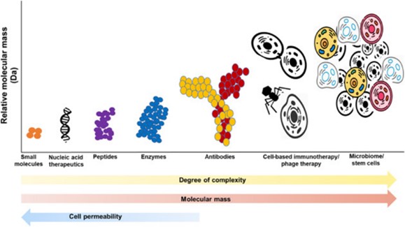 Comparison of macromolecular drugs in terms of relative molecular mass, cell permeability, and complexity Comparison of macromolecular drugs in terms of relative molecular mass, cell permeability, and complexity