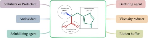 Histidine: a multifunctional excipient in macromolecule formulations