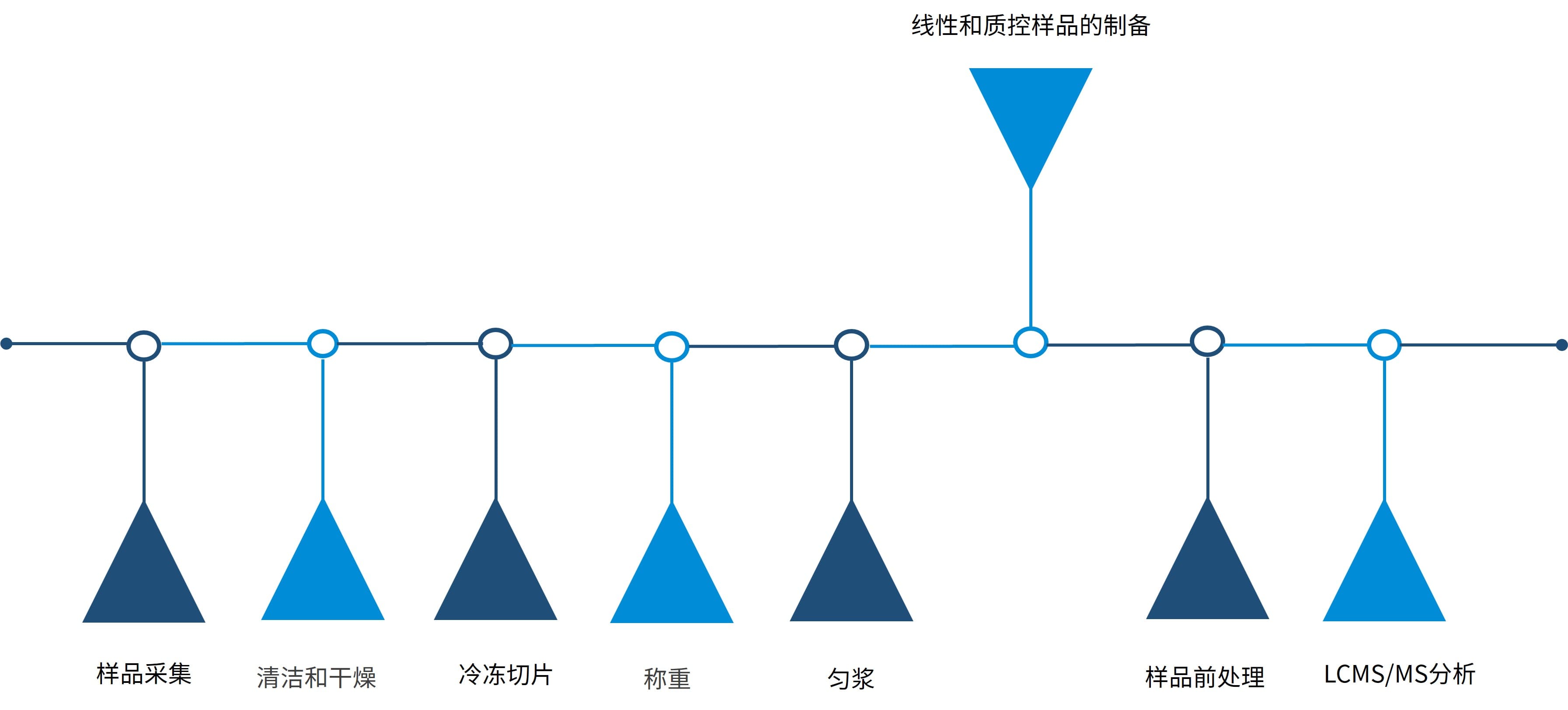 LC-MS/MS法分析皮肤组织样品的一般流程 LC-MS/MS法分析皮肤组织样品的一般流程