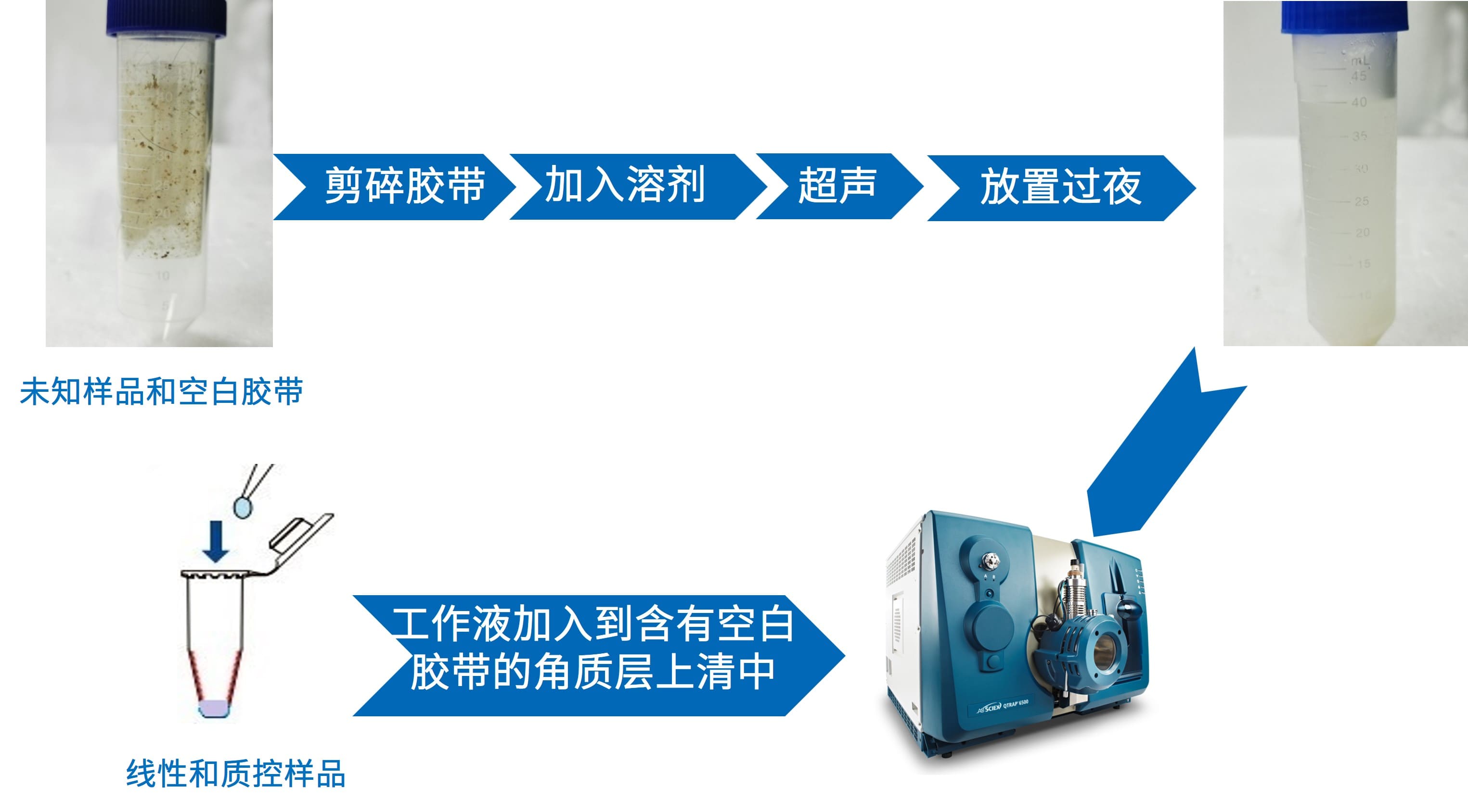角质层样品前处理流程图 角质层样品前处理流程图