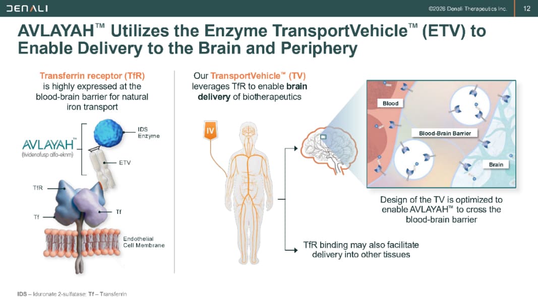 AVLAYAHTM delivery schematic