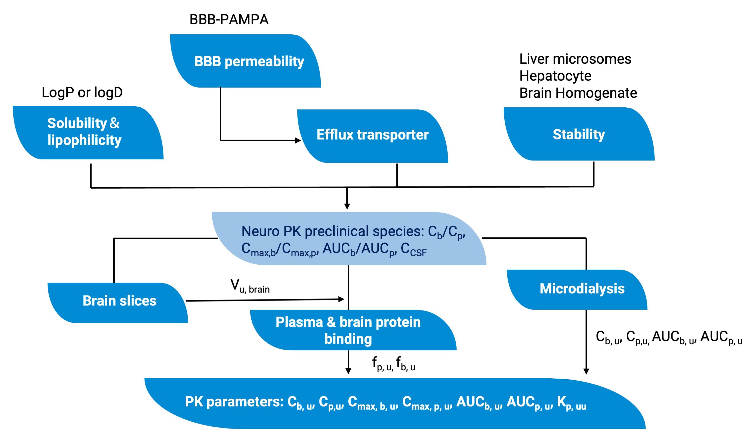 DMPK research strategy framework for CNS drugs