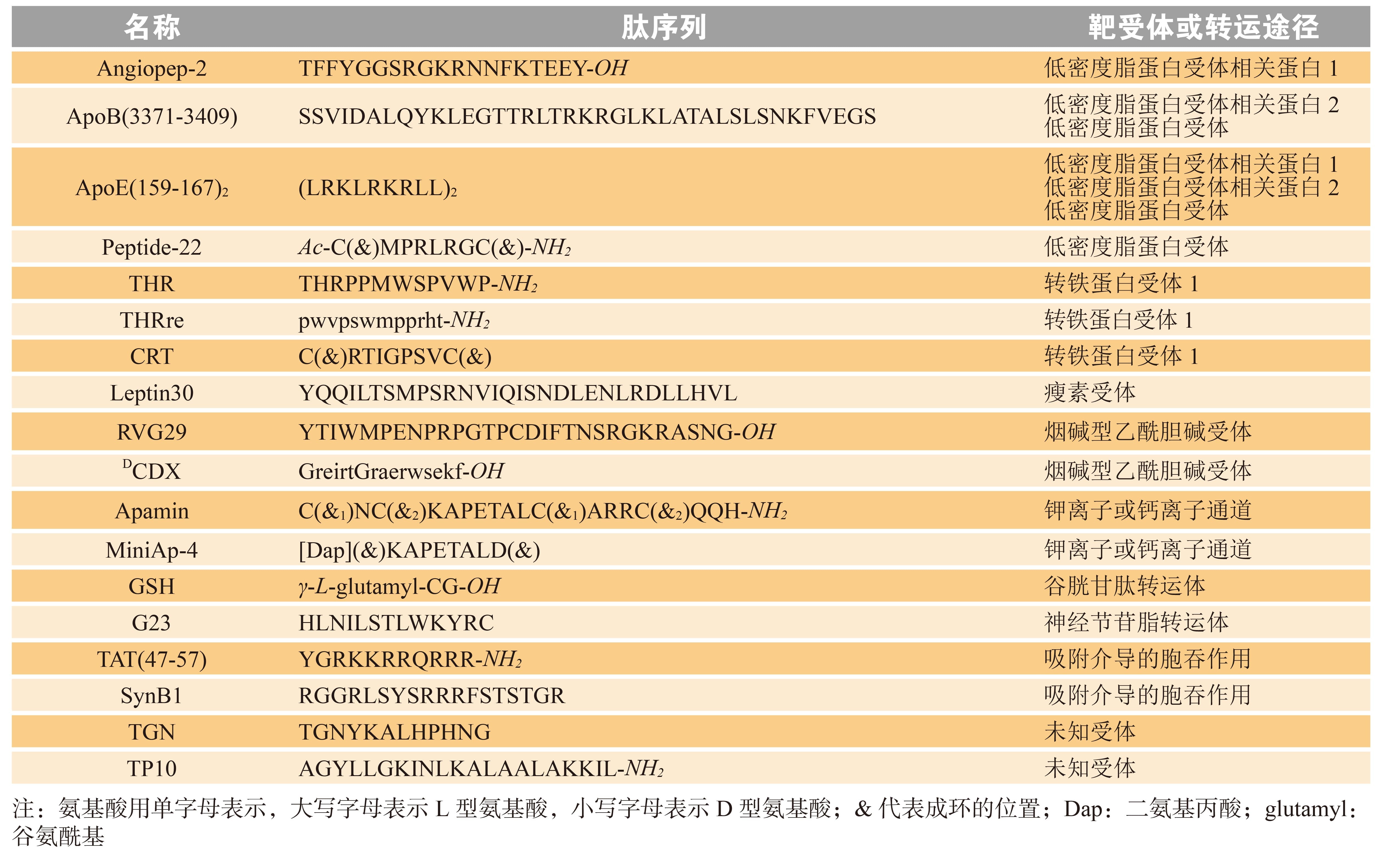具有代表性的血脑屏障穿膜肽 具有代表性的血脑屏障穿膜肽
