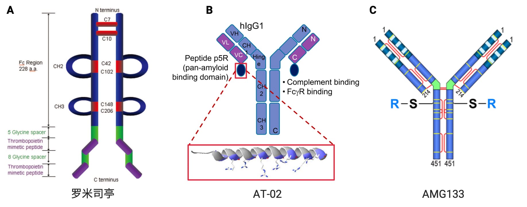TPO拟肽类药物罗米司亭、泛淀粉样蛋白去除 (pan-amyloid removal，PAR) 候选药物AT-02和减肥药AMG133结构