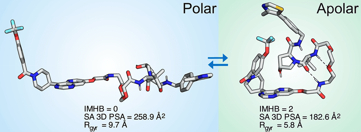Conformation change of PROTAC in different solutions