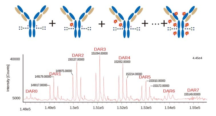 T-DM1 ADC DAR characterization results