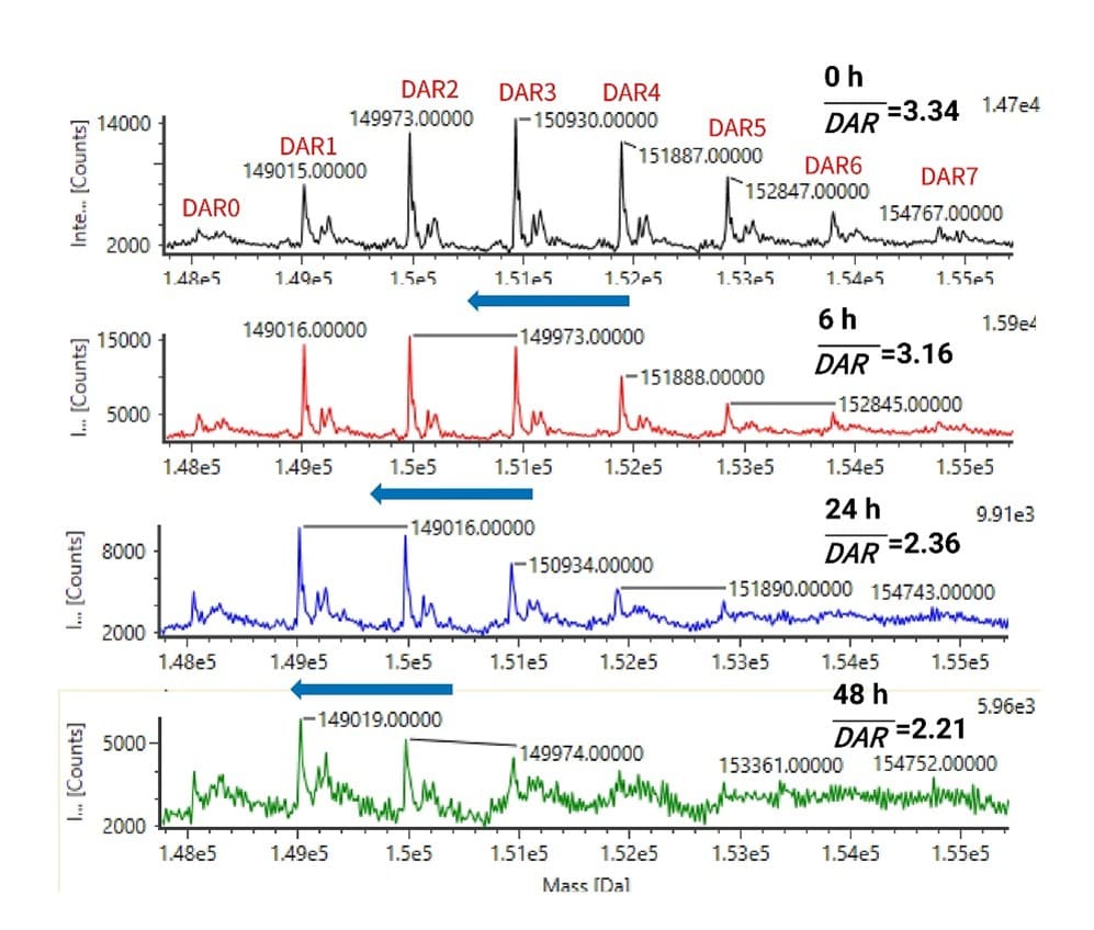 In vitro plasma stability of T-DM1