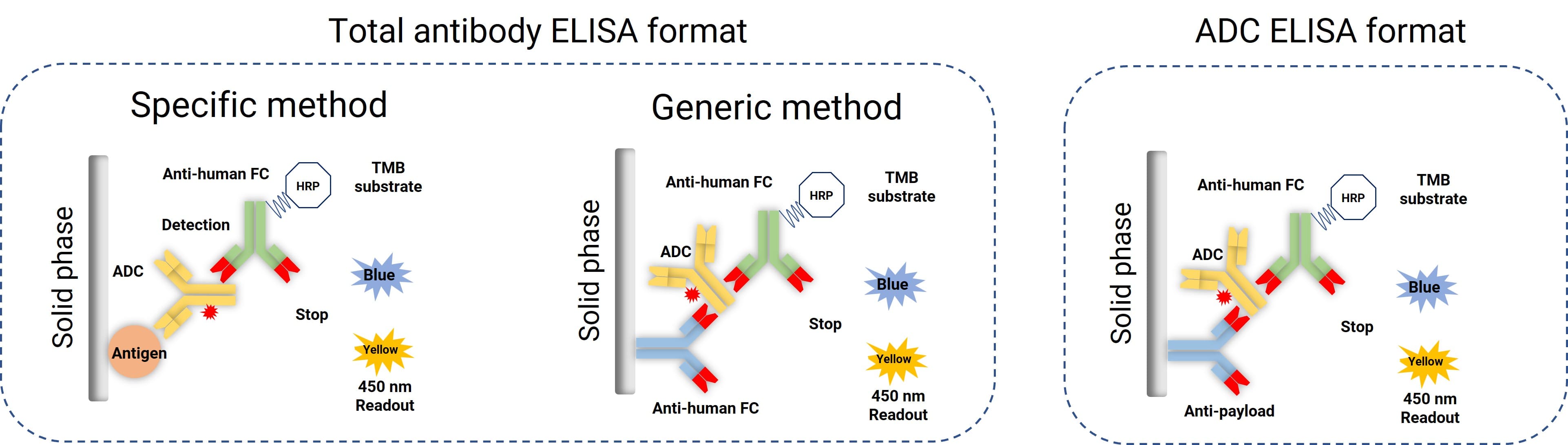 Common ELISA assay formats for total antibody and conjugated antibody bioanalysis
