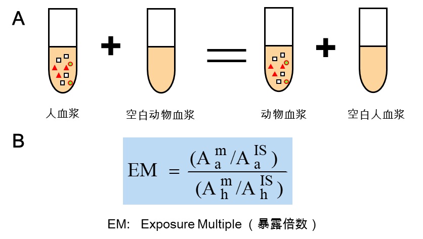 A) 去除基质效应的混合方法;B) 暴露指数的计算公式 A) 去除基质效应的混合方法;B) 暴露指数的计算公式