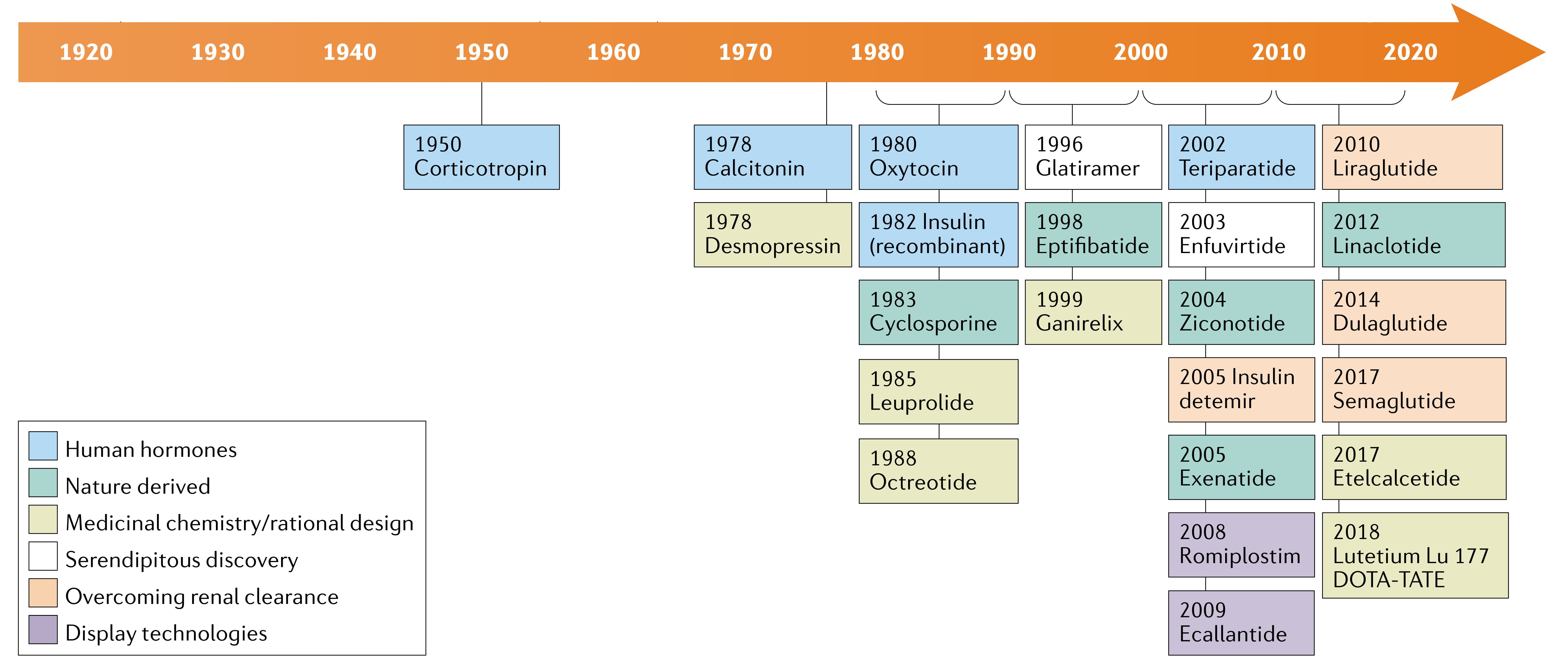 Development history and milestones of peptide drugs