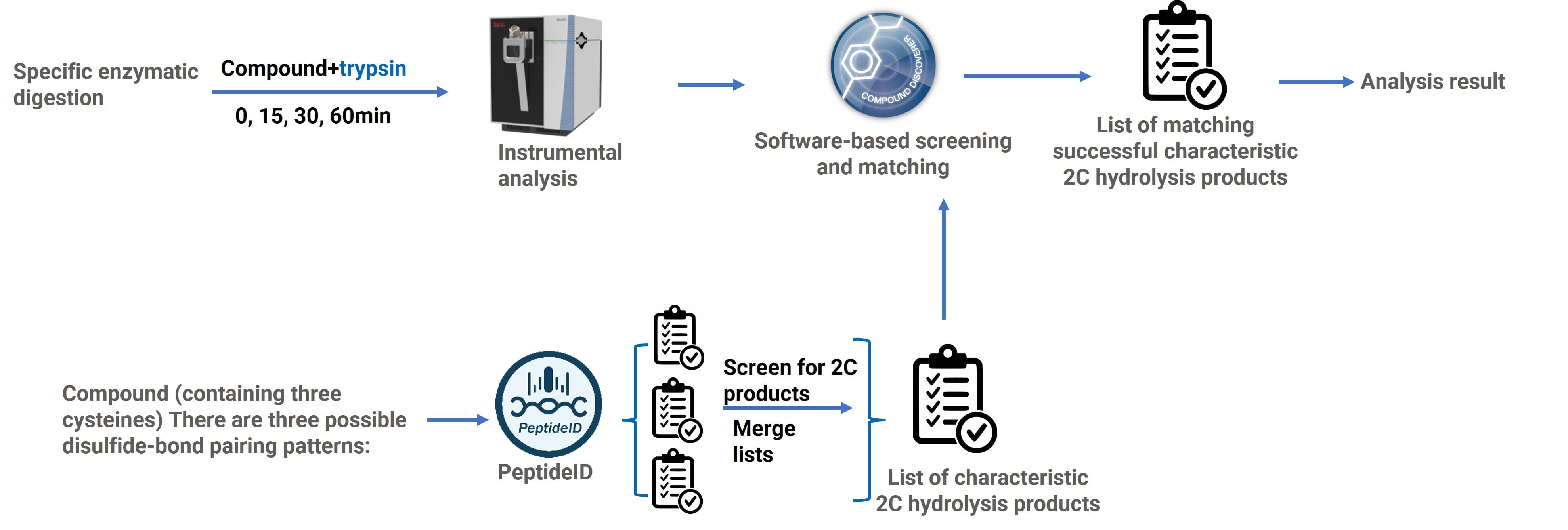 Data processing workflow for disulfide bond mapping by enzymatic digestion