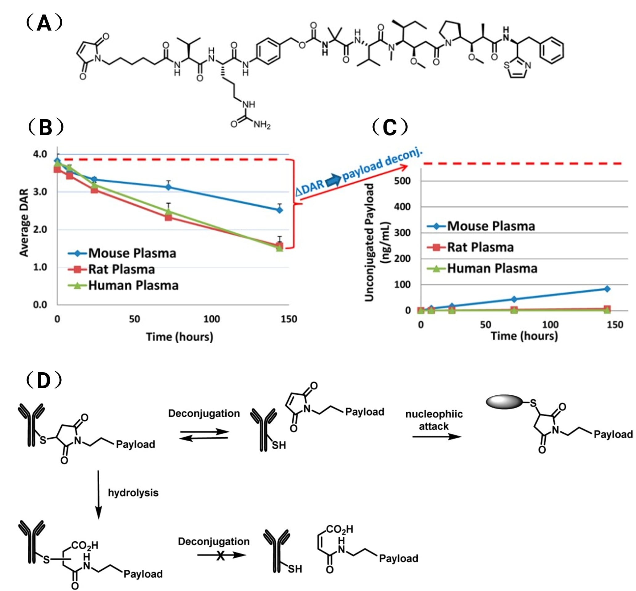 (A) Chemical structure of linker-payload of Tras-mcVC-Auristatin ADC; (B) Average DAR profiles of the Tras-mcVC-Auristatin ADC over the time-course of the in vitro plasma incubation; and (C) Unconjugated/free payload levels of Tras-mcVC-Auristatin over the time-course of the in vitro plasma incubation; (D) Scheme of the maleimide exchange from the ADC