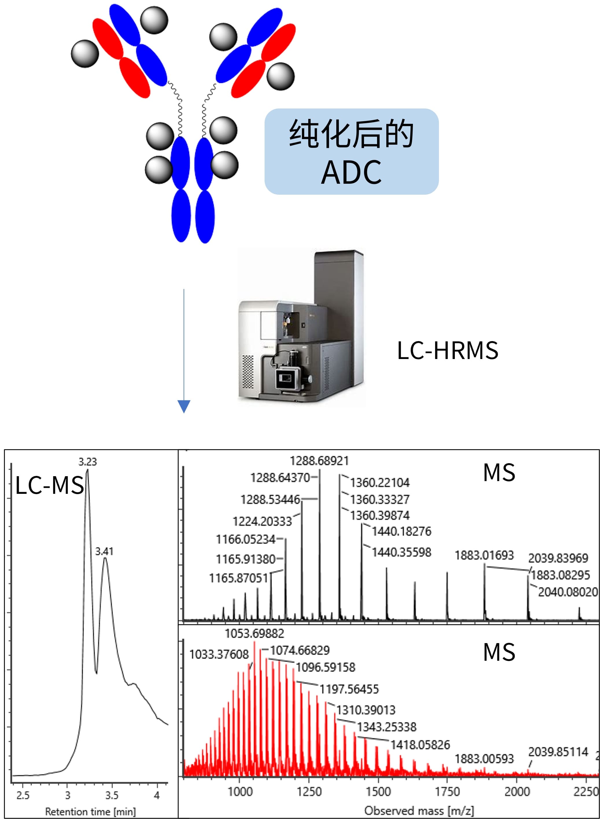 液相色谱-高分辨质谱分析ADC的LC-MS图和质谱图 液相色谱-高分辨质谱分析ADC的LC-MS图和质谱图
