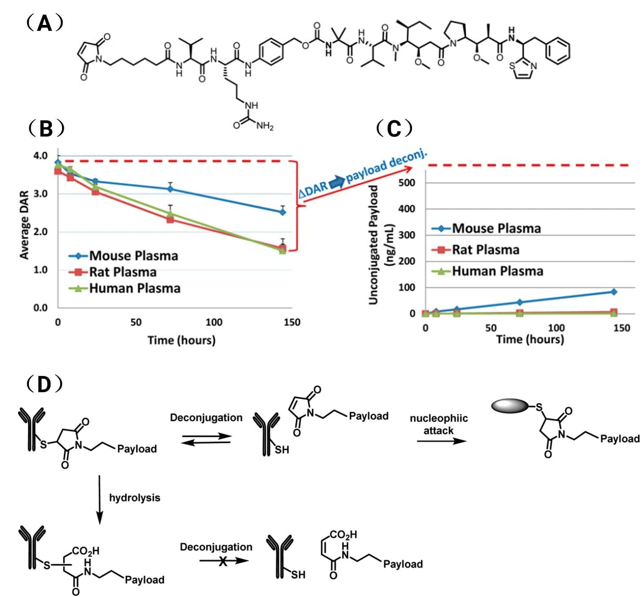 ADC药物Tras-mcVC-Auristatin的linker-payload结构（A）；体外血浆孵育过程中平均DAR值（B）和游离payload浓度（C）随时间的变化；（D）ADC中马来酰亚胺linker-payload转移的示意图
