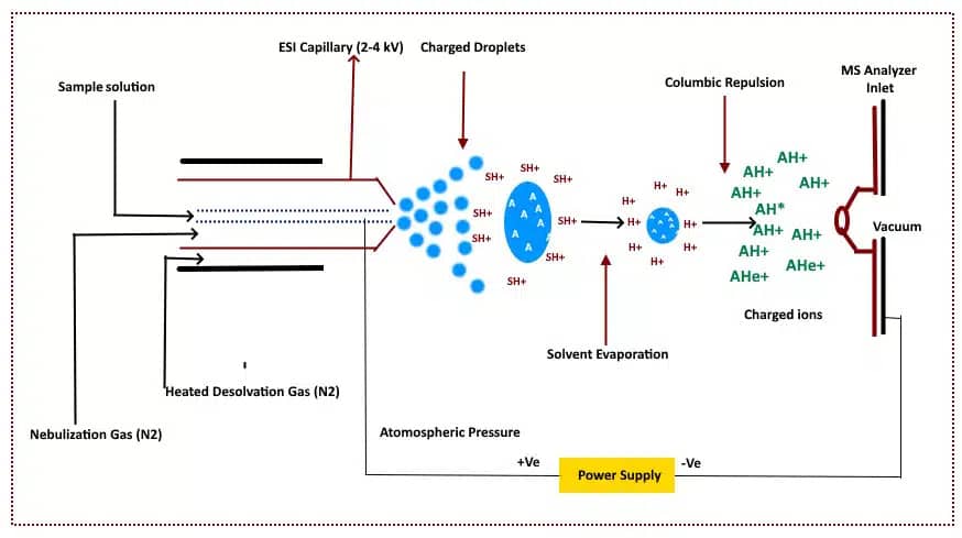 Schematic of electrospray ionization