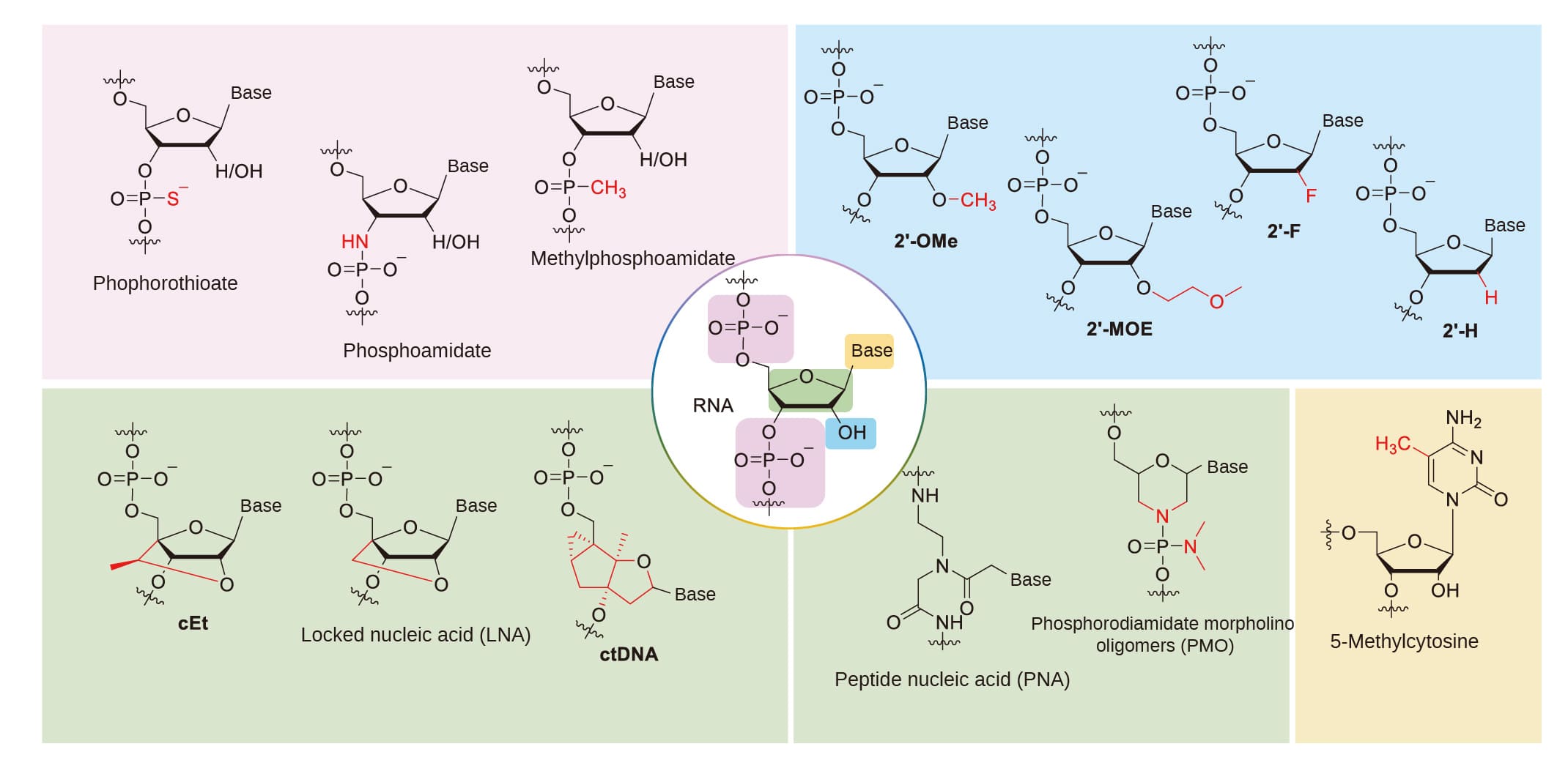 Common chemical modifications of oligonucleotides. Adapted from reference