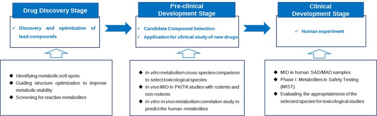 The Role of Metabolite Identification Studies in Various Stages of PROTAC Drug Development