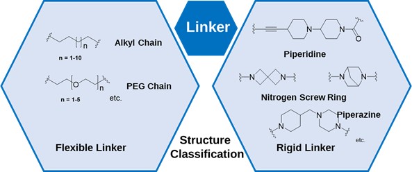 Representative Structures of Linkers Used in PROTACs