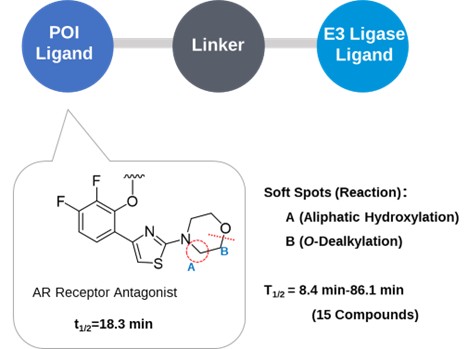 Effect of POI Ligands on Metabolic Stability