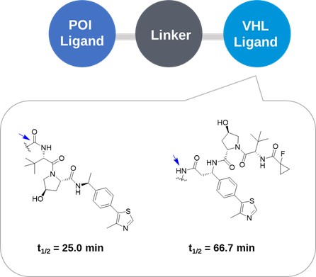 Impact of the Linker Attachment Site on the Metabolic Stability of PROTACs