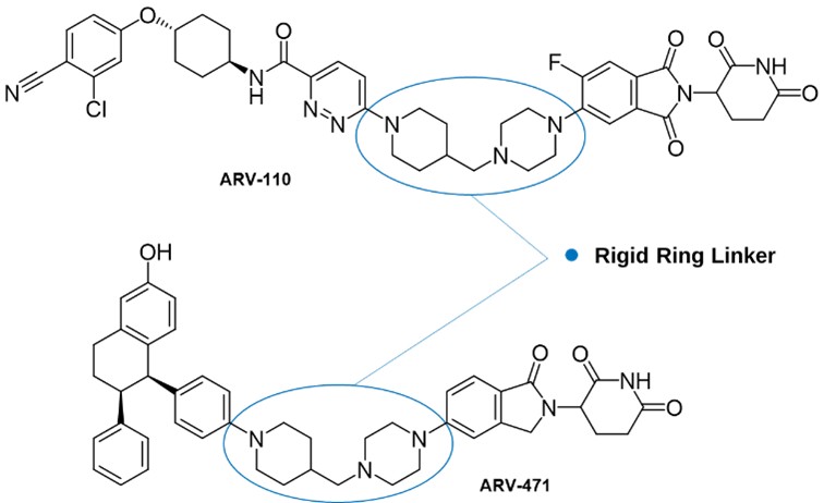 Structure of ARV-110 and ARV-471 with Rigid Cyclic Linker