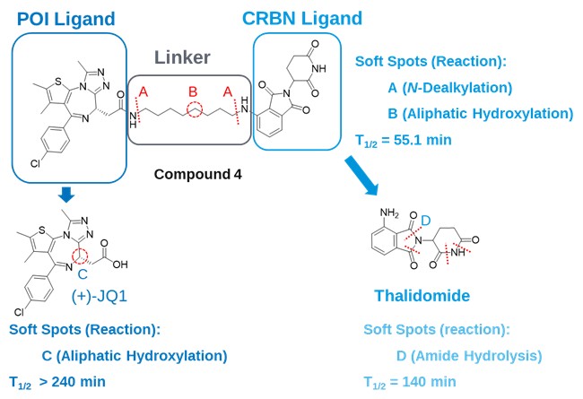 Comparison of PROTAC's Metabolic Soft Spots with Those of Its Individual Ligands