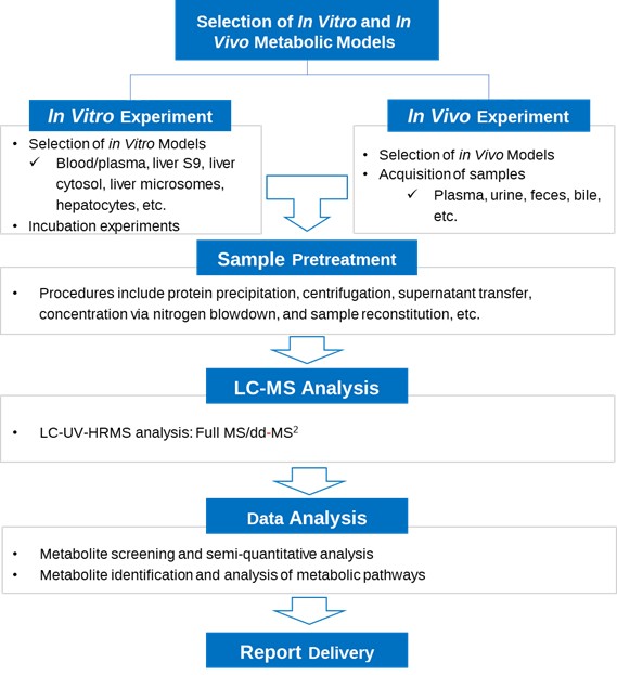 Workflow for Metabolite Identification of PROTACs