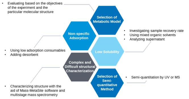 Diagram of Challenges and Strategic Solutions for PROTAC Metabolite Identification Studies