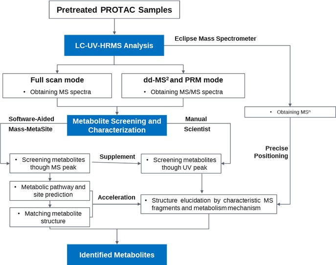Workflow for the Metabolite Identification of PROTACs