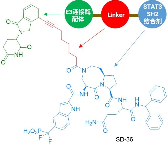 STAT3降解剂SD-63